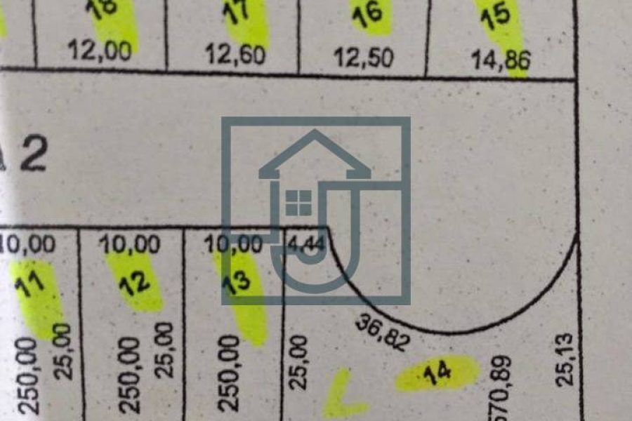 455691061_1257568038959562_5697746600996561223_n