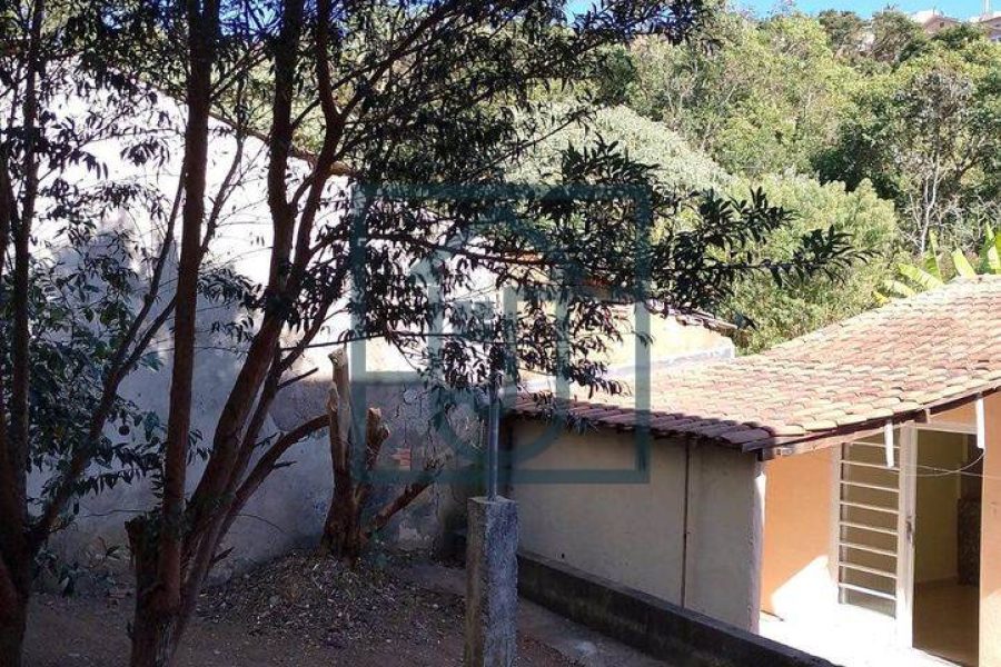 459330227_8313576308702049_5297628068727525760_n