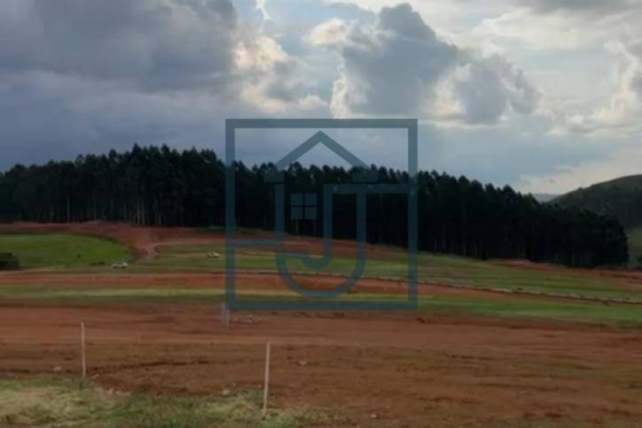 WhatsApp Image 2024-02-02 at 17.59.12