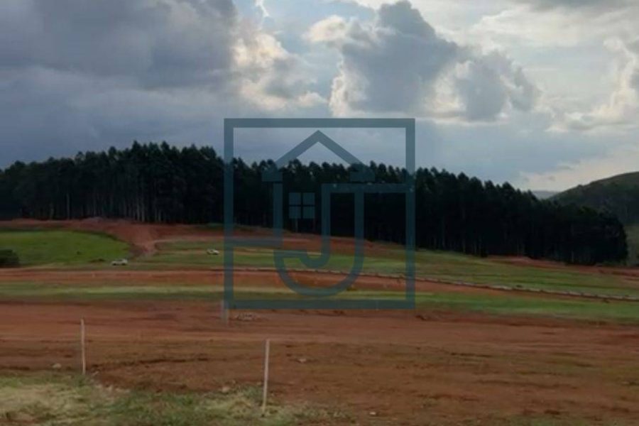 WhatsApp Image 2024-02-02 at 18.01.33